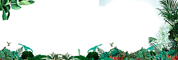春季草叶与树叶装饰边框