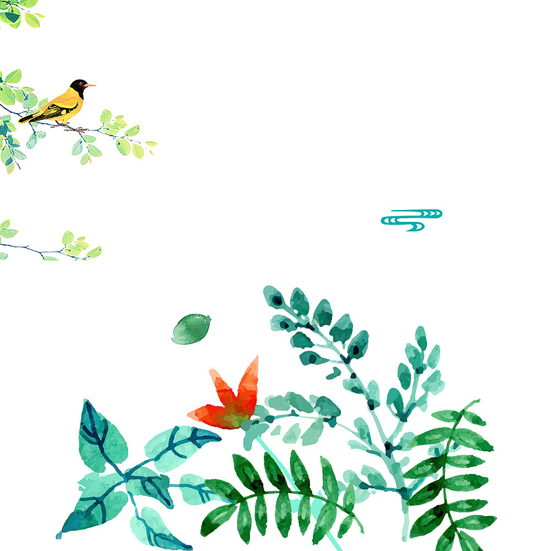 水彩叶子小鸟边框图形