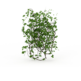 一簇绿色叶子垂吊植物