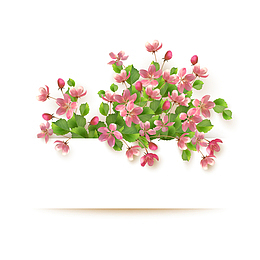 精美杏花背景装饰矢量图