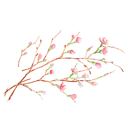 水彩绘粉色花蕾枝矢量图