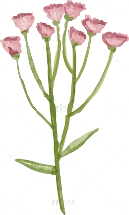 水墨春天红花
