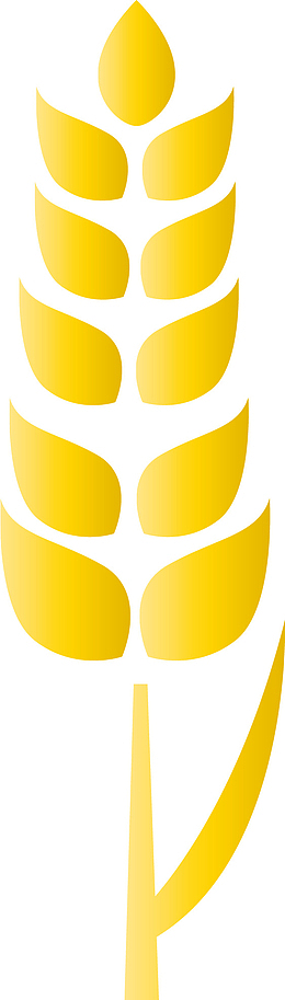 手绘金色麦穗图标矢量图