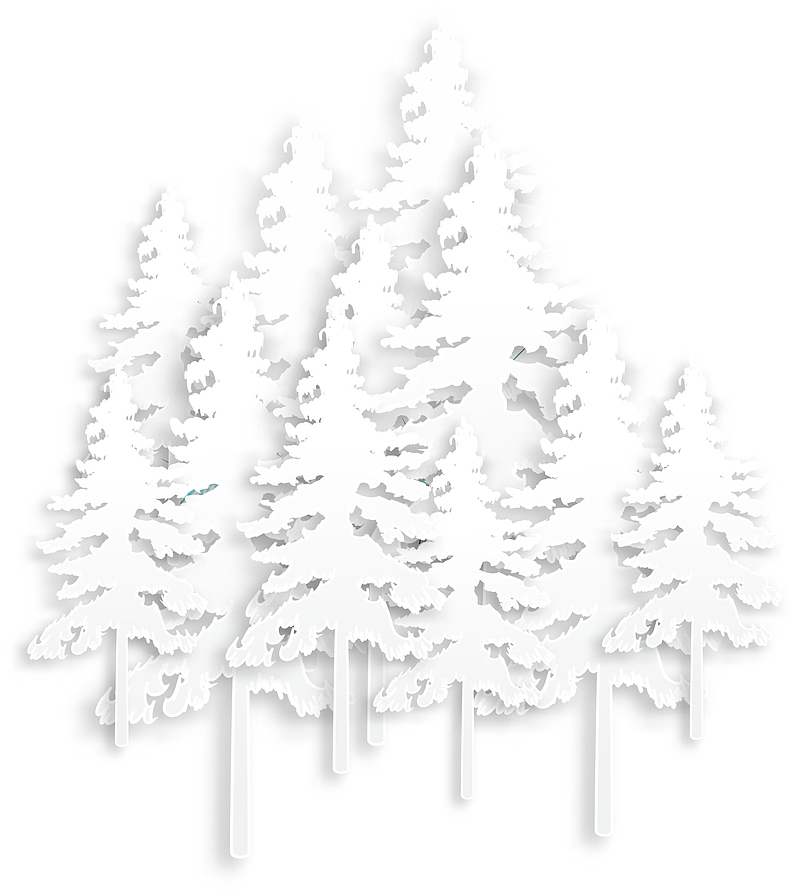 白色雪地圣诞树
