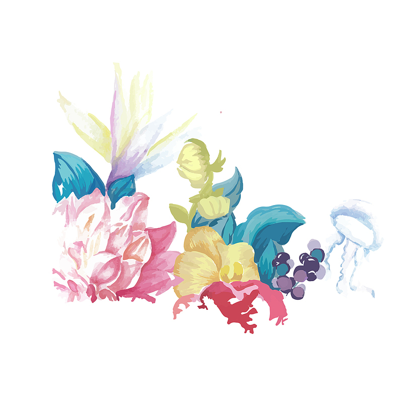 水彩手绘植物花朵