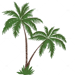 矢量绿色植物树木