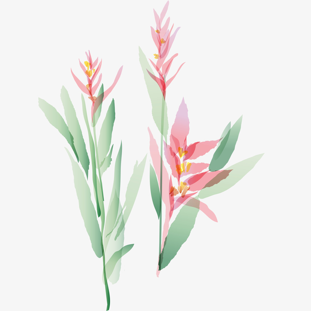 水彩植物免抠素材免费下载_觅元素51yuansu.com