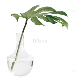 一支树叶盆景