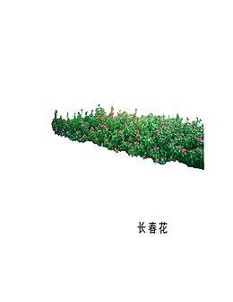 植物
