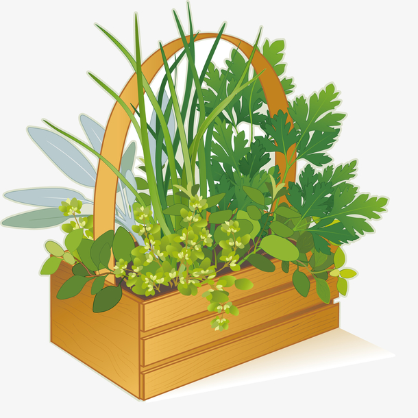 绿色的植物矢量图素材免费下载_觅元素