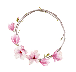 粉红色带香味在一边的玉兰花瓣实