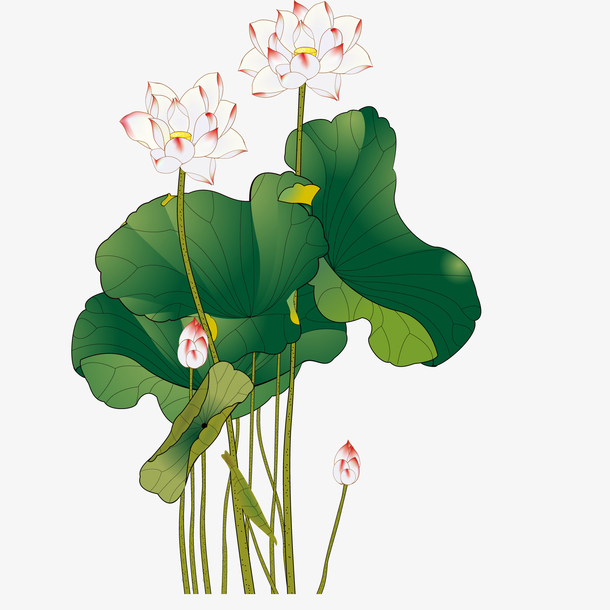 关键词 : 荷花,植物设计,中国风,手绘,卡通,复古,矢量图[声明] 觅元素