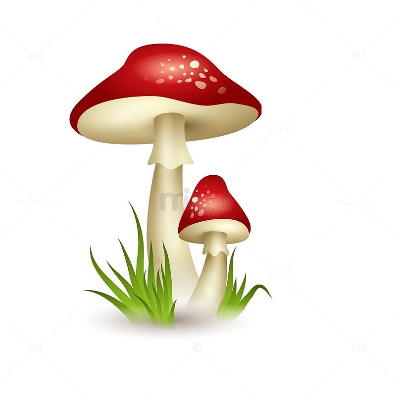 卡通蘑菇植物设计
