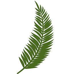 手绘树叶矢量插画