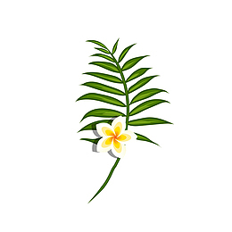 小清新植物叶子鸡蛋花