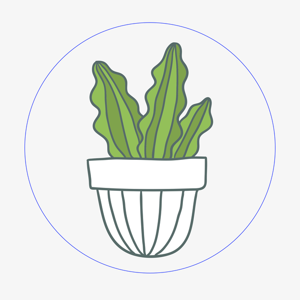 手绘精美多肉植物