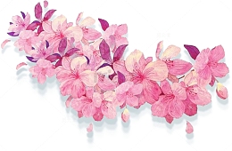 红色梦幻美丽花朵