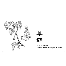 中药材萆薢
