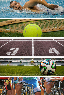 体育运动项目合集图
