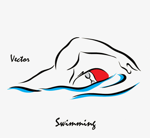 矢量游泳