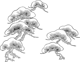 云杉矢量