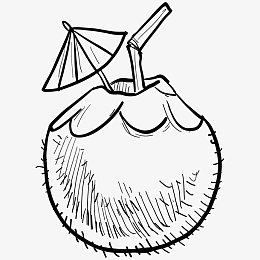 卡通手绘简笔画椰子png