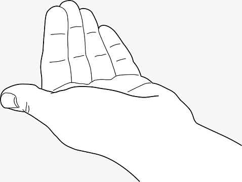 矢量黑白线稿托东西的单手