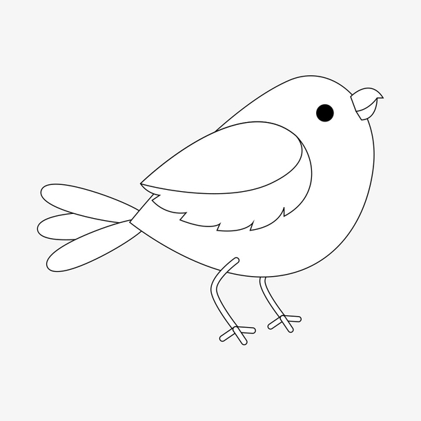 飞的鸟怎么画线描图片