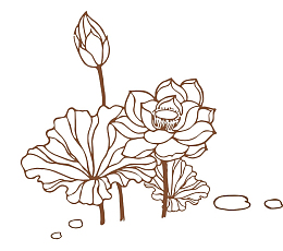 简笔画莲花儿图