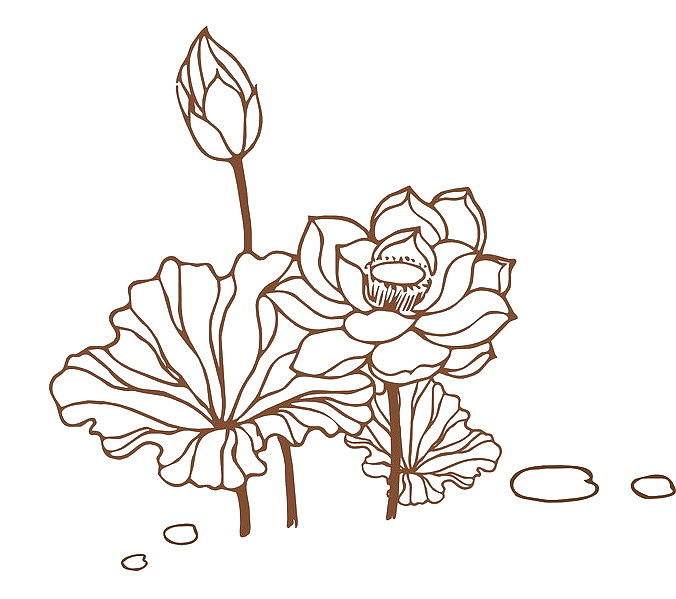 简笔画莲花儿图