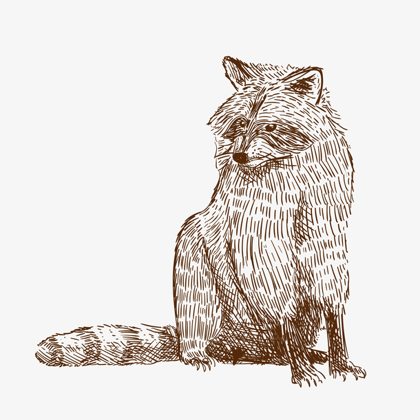 卡通动物手绘矢量图