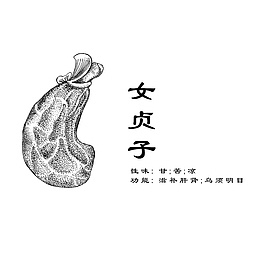 女贞子中药材
