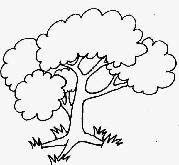 大树树干卡通简笔画图片