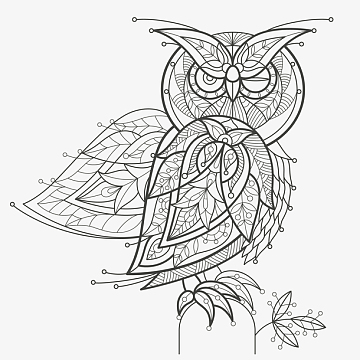 猫头鹰黑白图腾线稿