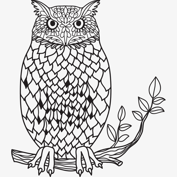 手绘卡通花纹猫头鹰