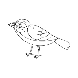 鸟类线条简笔画