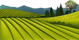 矢量风景田野插画