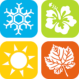 雪花太阳树叶