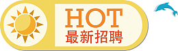 最新招聘公告