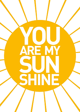 sunshine logo图标