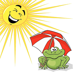 青蛙打伞