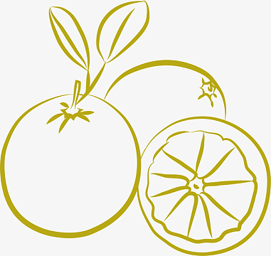 切开的橙子aipng卡通橙子png果园背景jpg创意夏季水果橙子插画设计ai