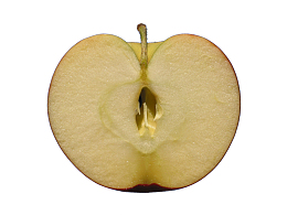 切开的一半苹果