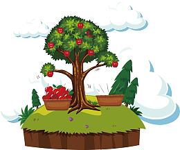 果园里成熟的苹果树