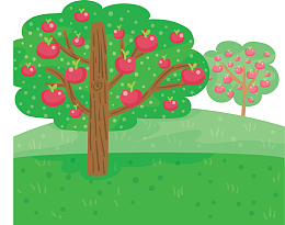 春天果园里的苹果树