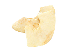 切开的苹果片素材