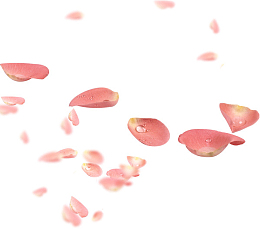 漂浮的花瓣
