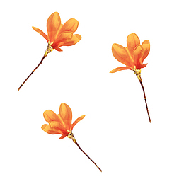 橙色手绘花枝花朵漂浮素材
