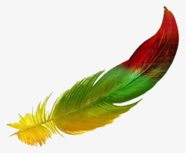 漂浮的羽毛免抠素材免费下载_觅元素51yuansu.com