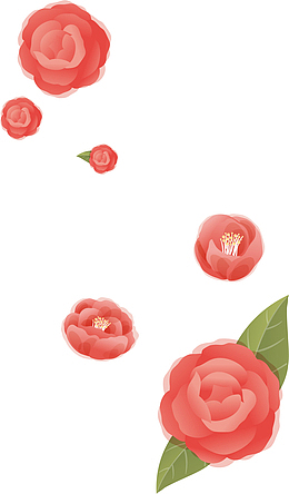 花朵漂浮